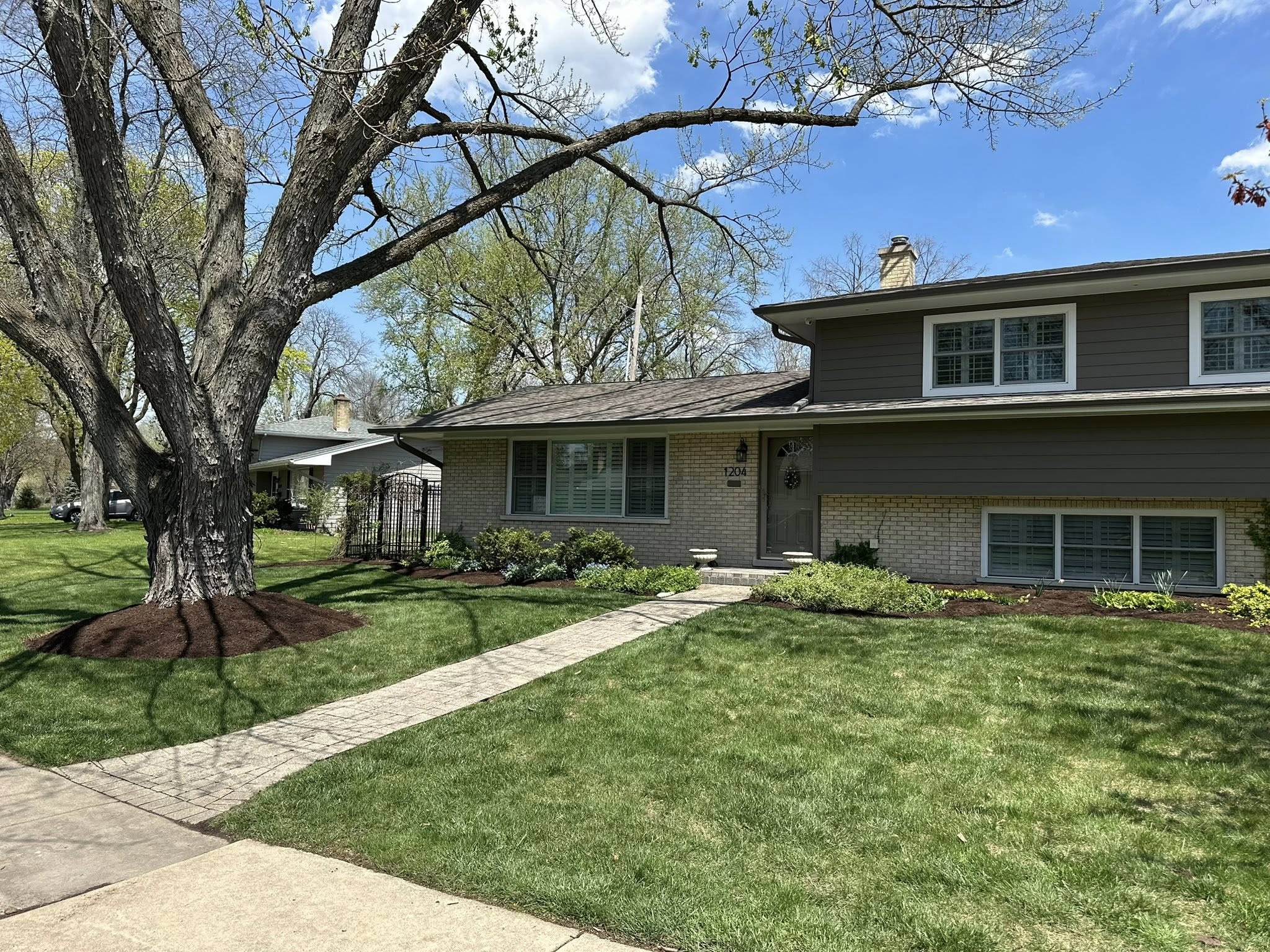 residential yard landscaping