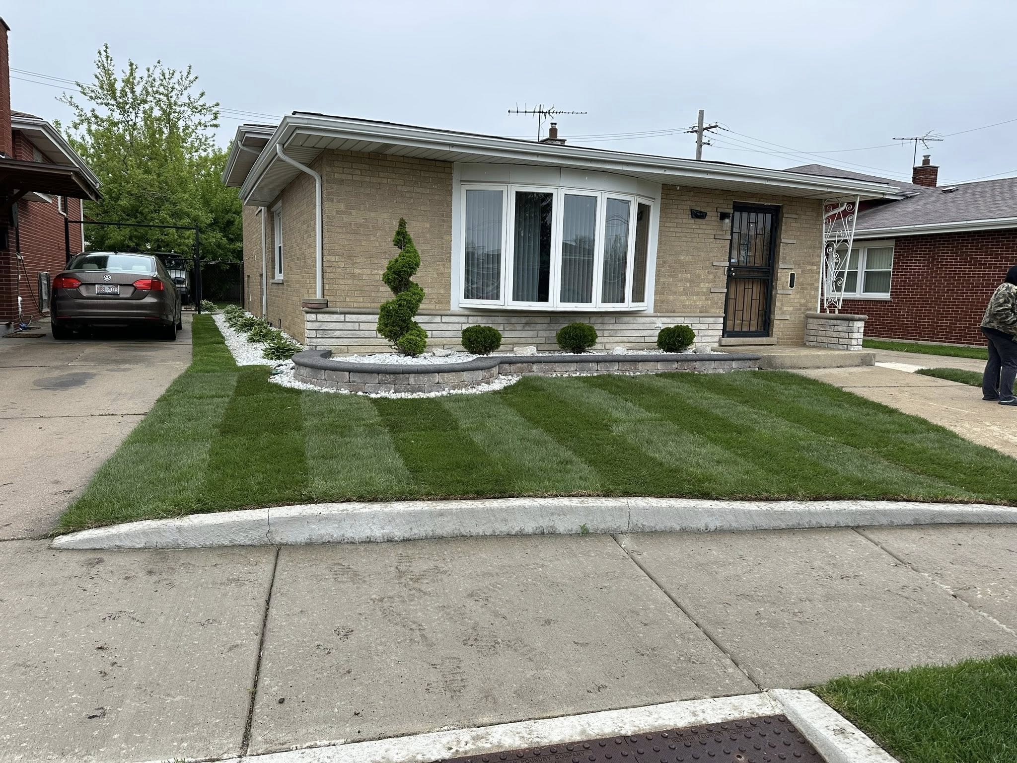freshly mowed grass
