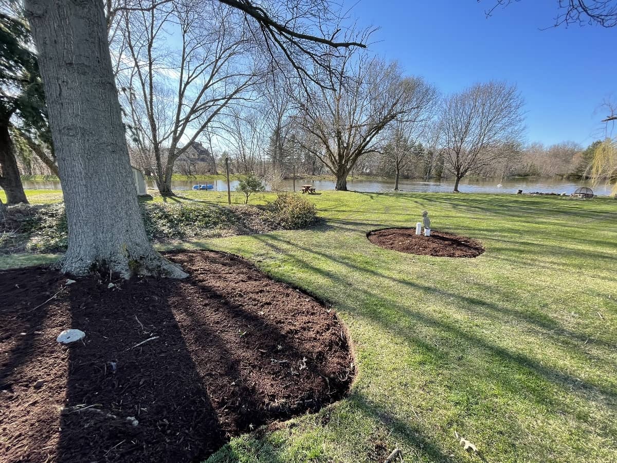 mulch around trees Chicago